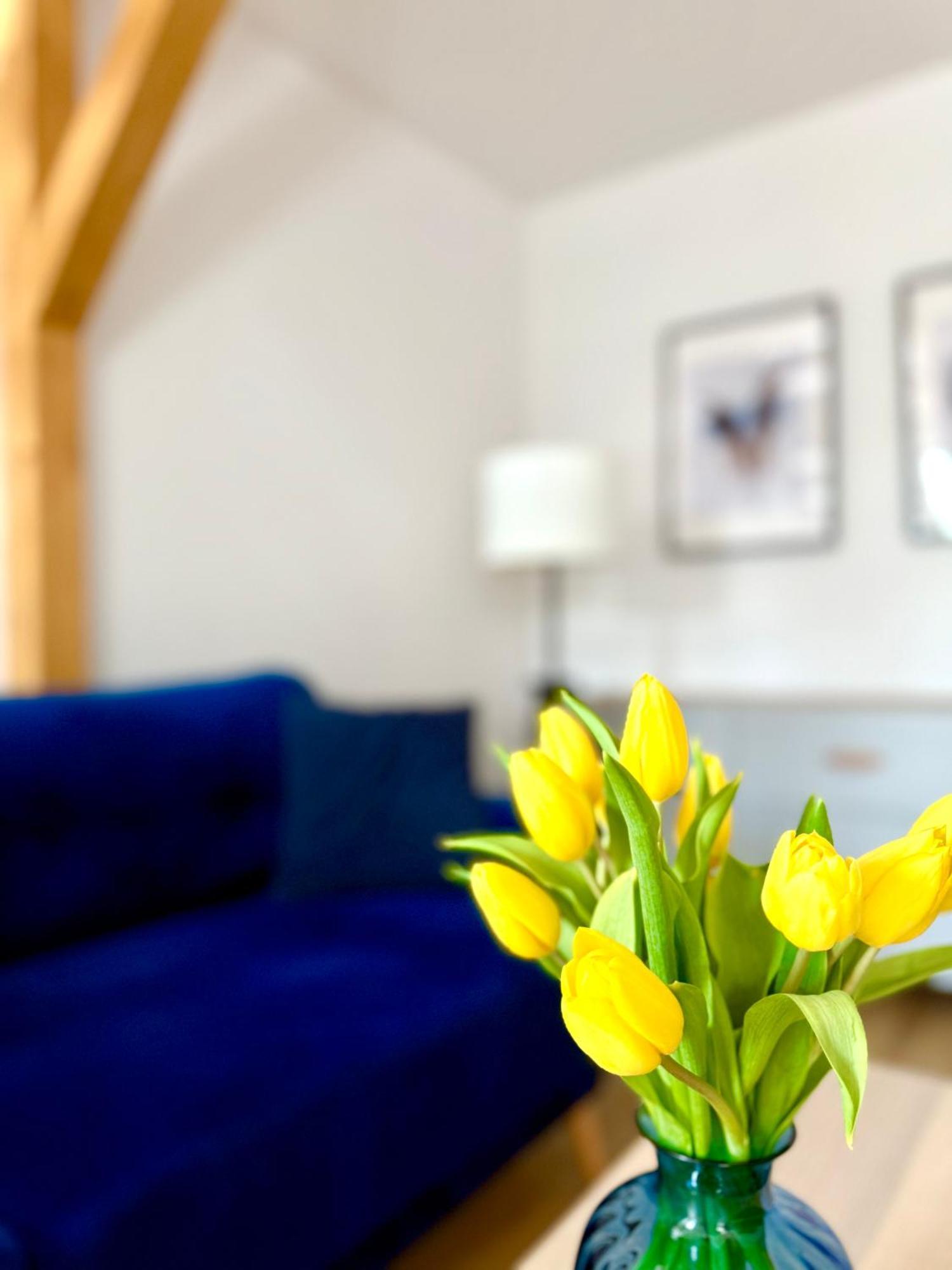 Apartament W Samym Sercu Miasta Z Darmowym Parkingiem Pod Zlotym Lwem -Hotel VI Klodzko Luaran gambar